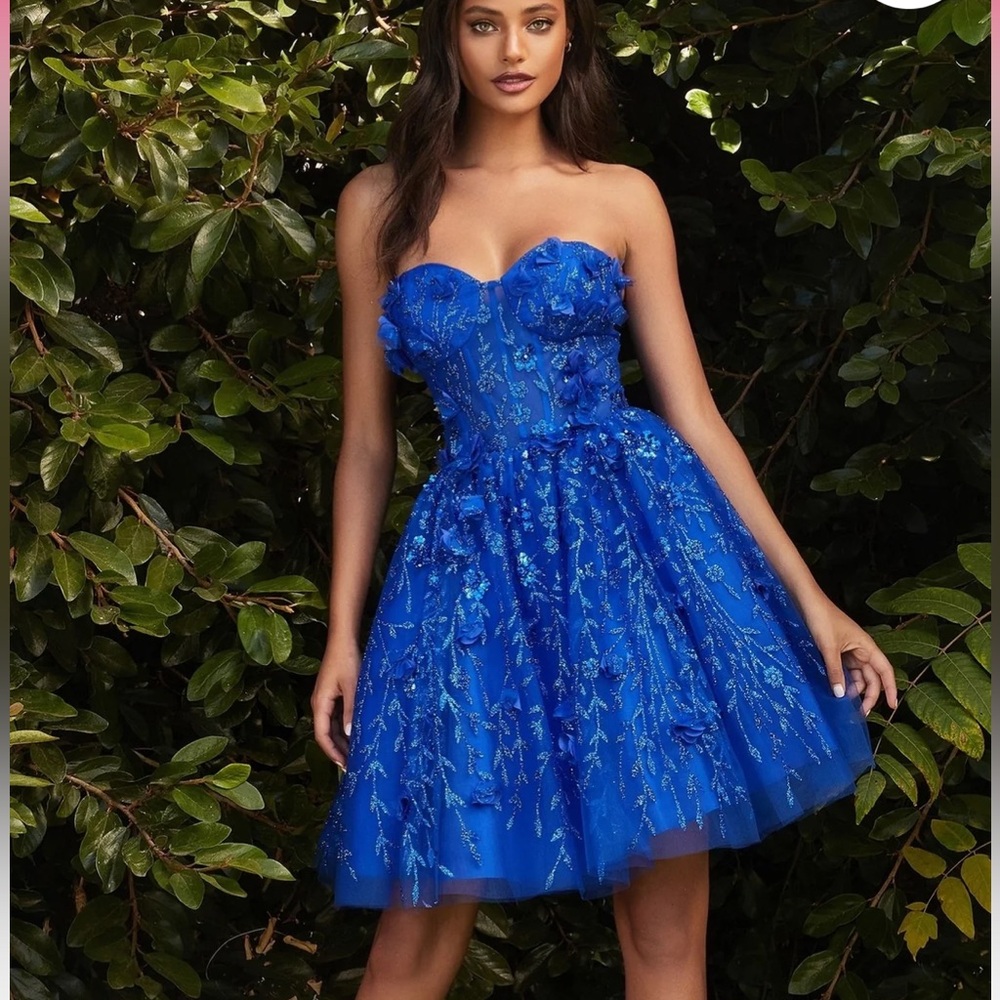 Royal Blue Dress